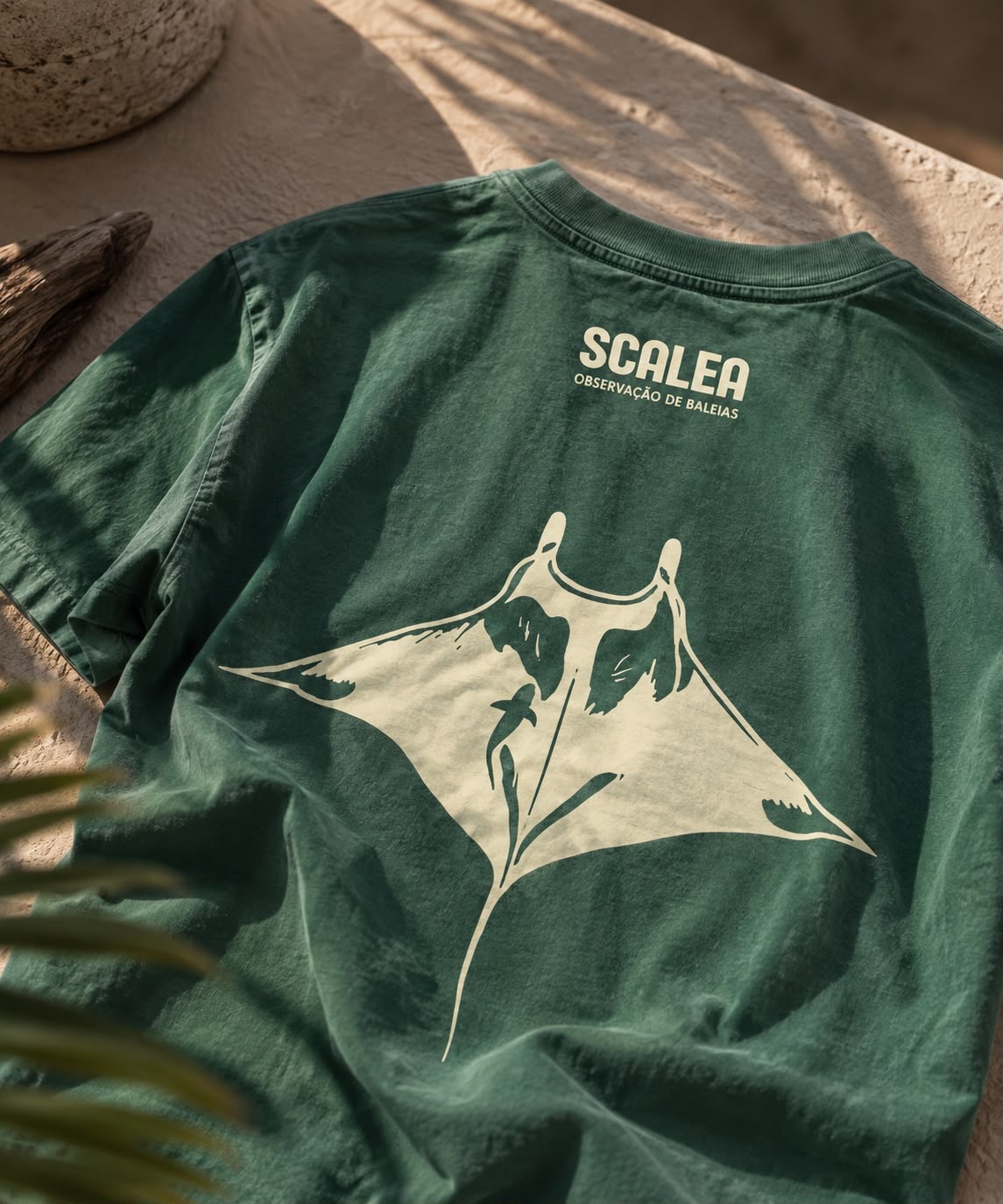Coleção inspirada em mantas